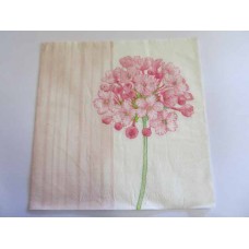 Serviette